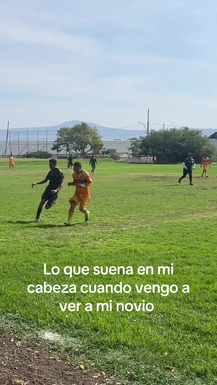 @Alisaurio 🦕