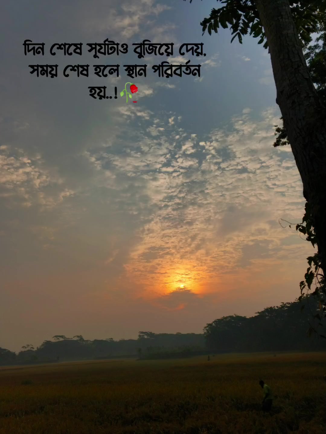 @MD OSMAN KHAN 🇧🇩🇧🇩🇧🇩