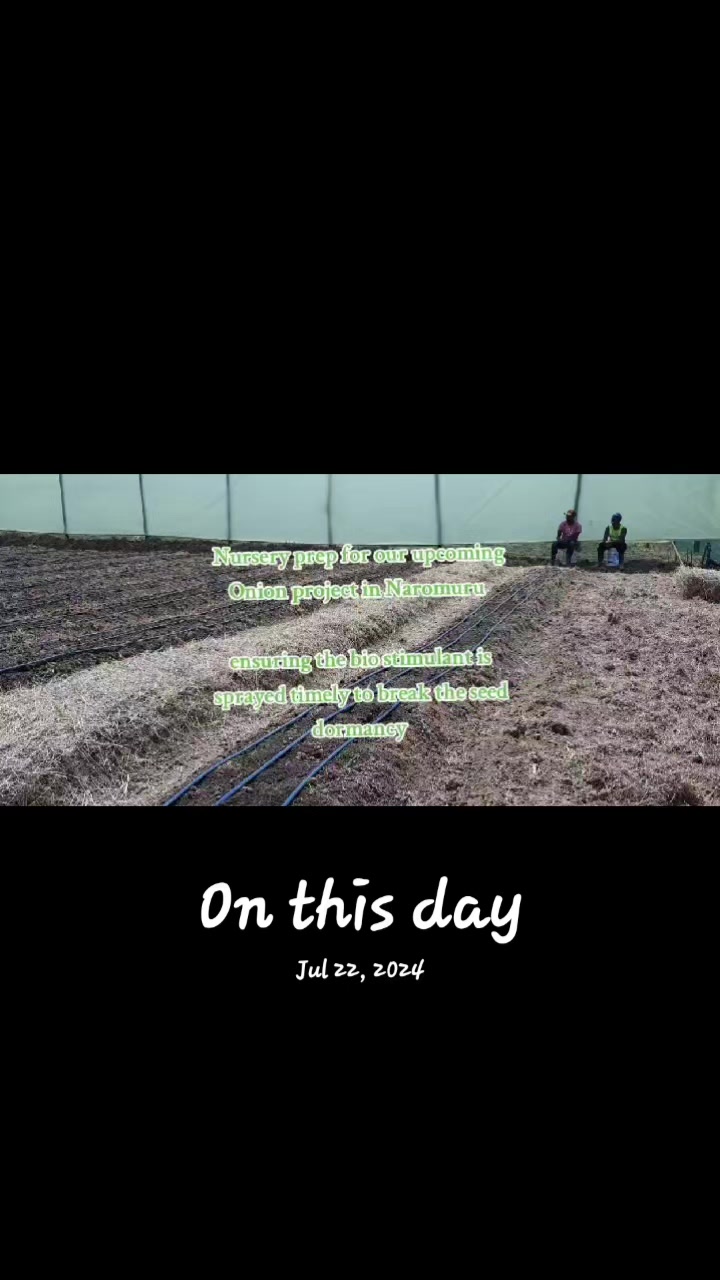 @Agri-Irrigation Africa Limited