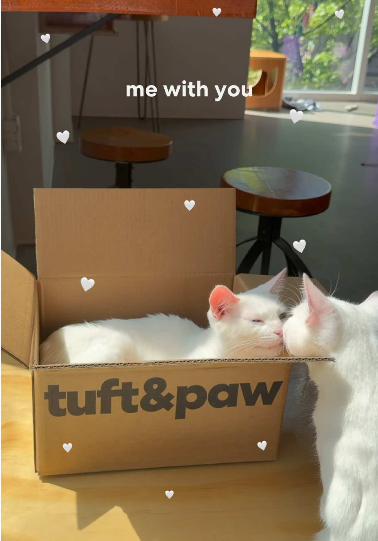 @Tuft & Paw