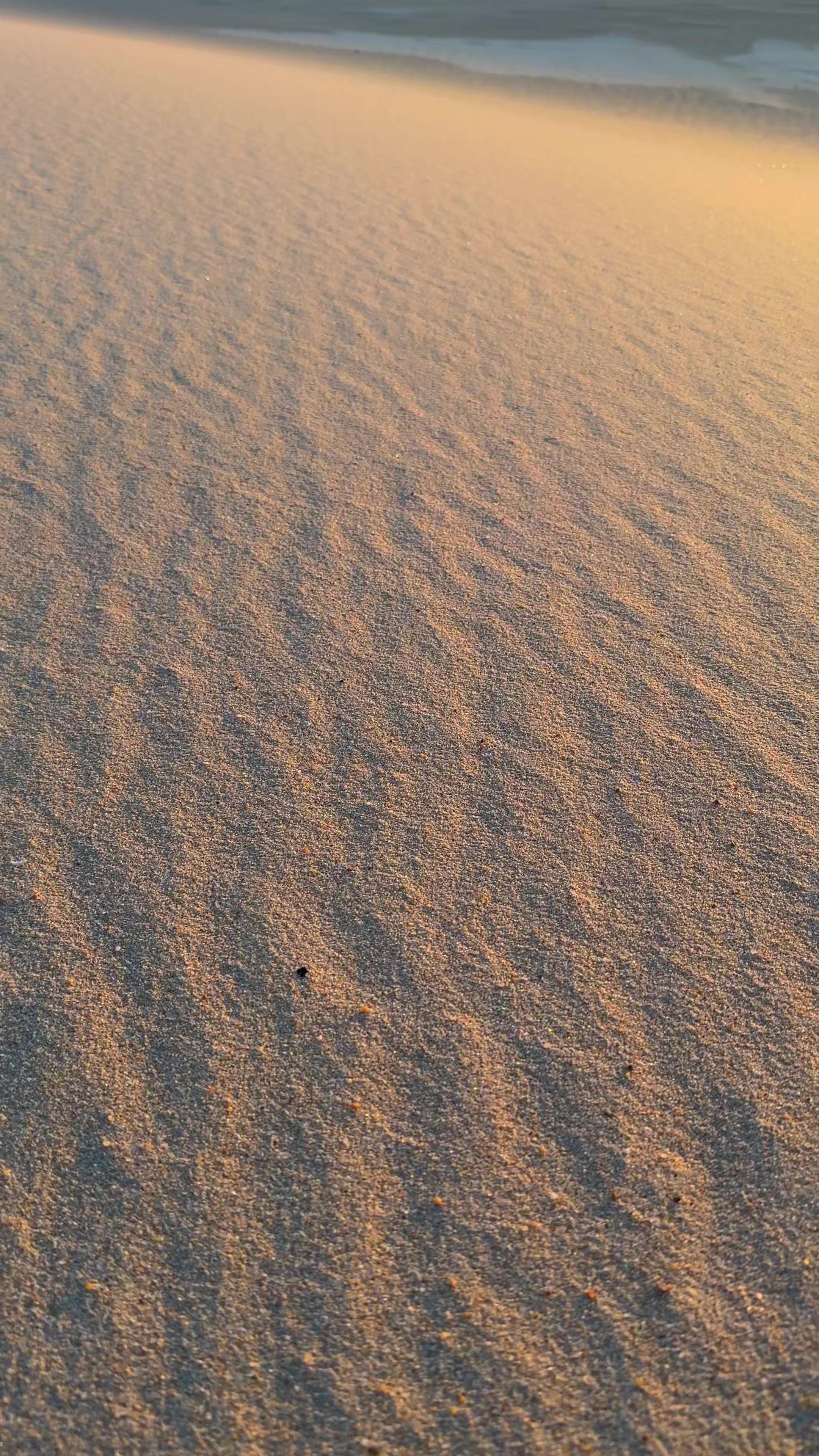 @c i a n