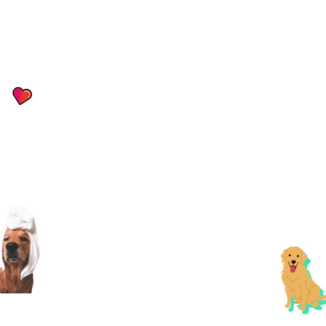 @Los golden Retriever