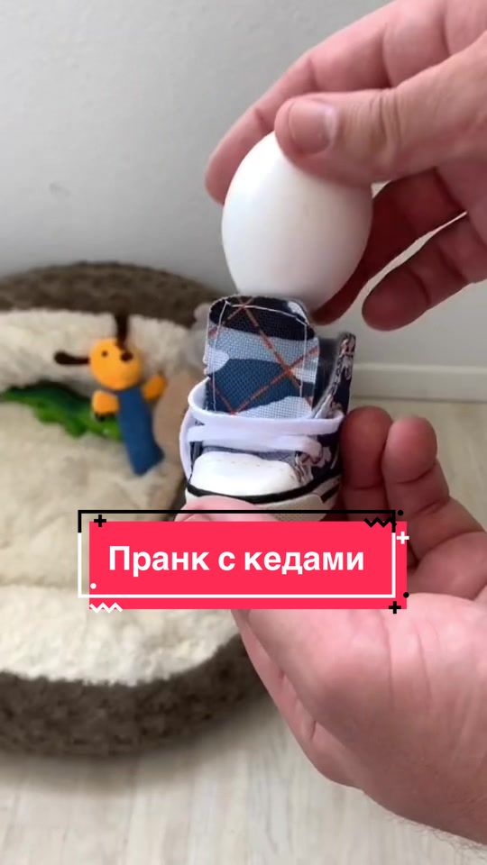 @Йорк Донни 🇺🇦