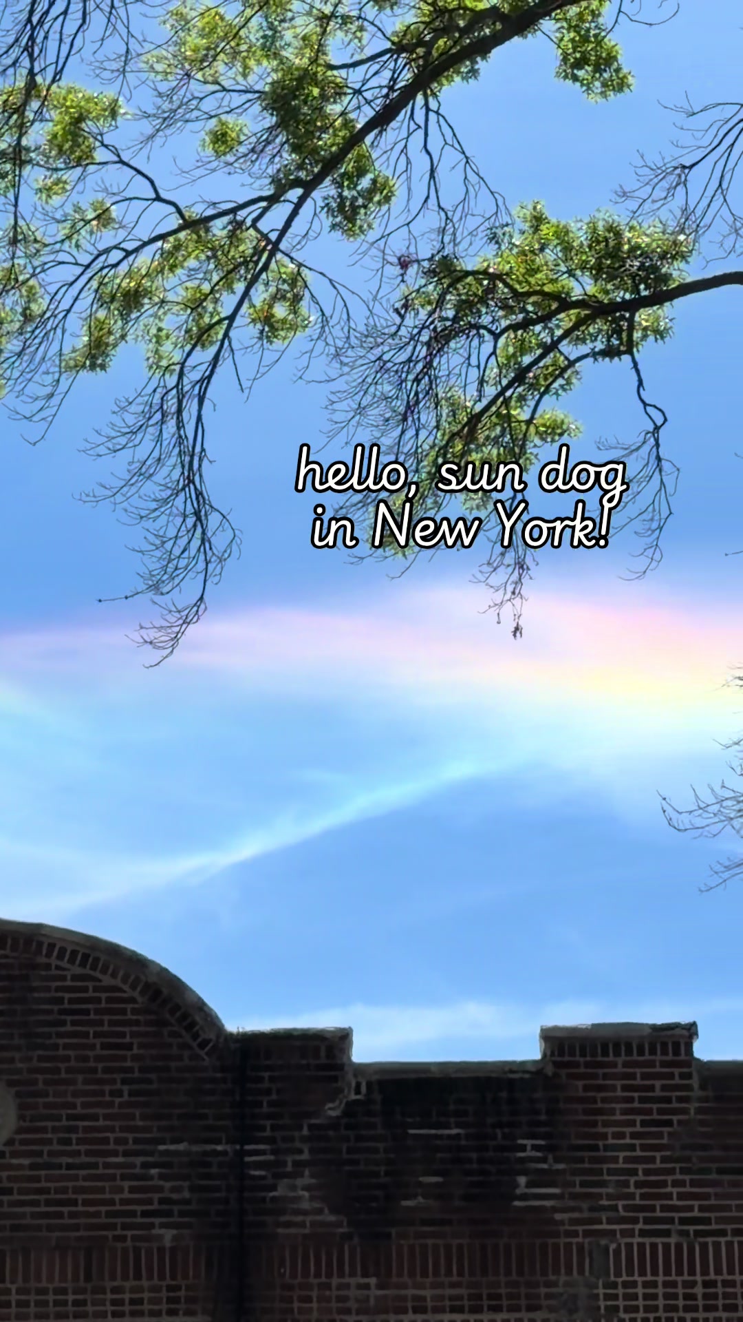 @Jenny †🗽