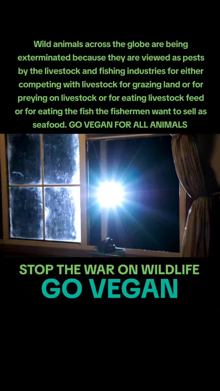 @advocate4animals