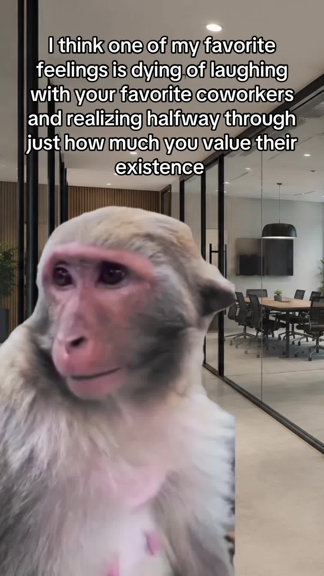 @Shelli