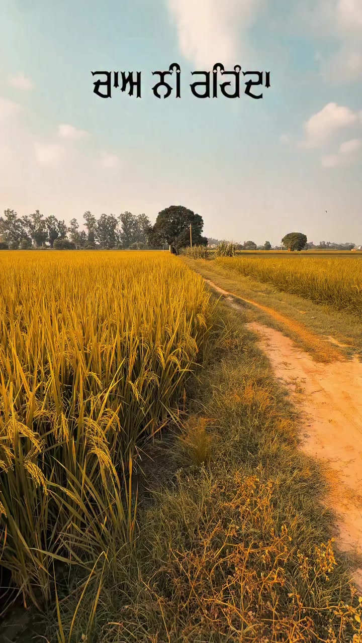 @ਓਹ ਕਹਿੰਦਾ 🌾