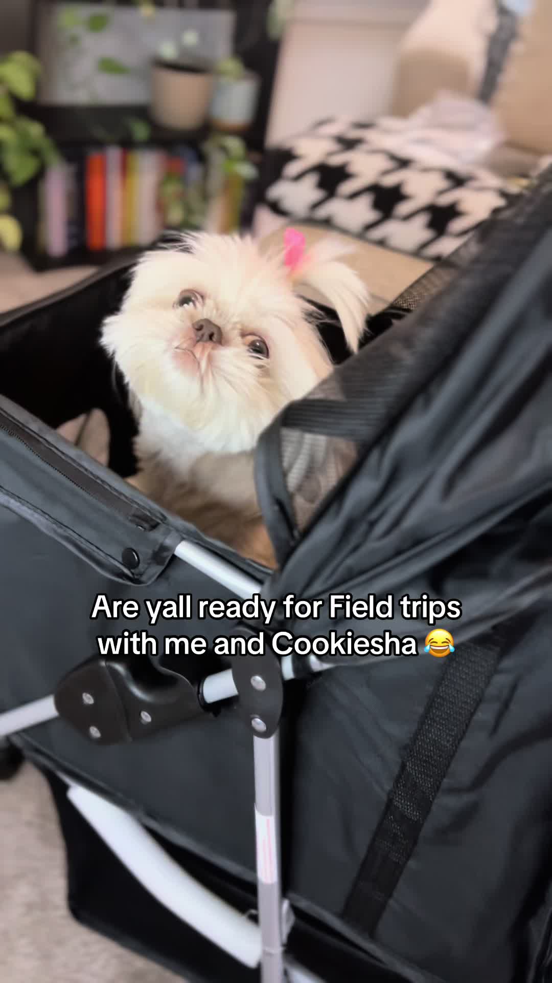 @nitaandcookiesha