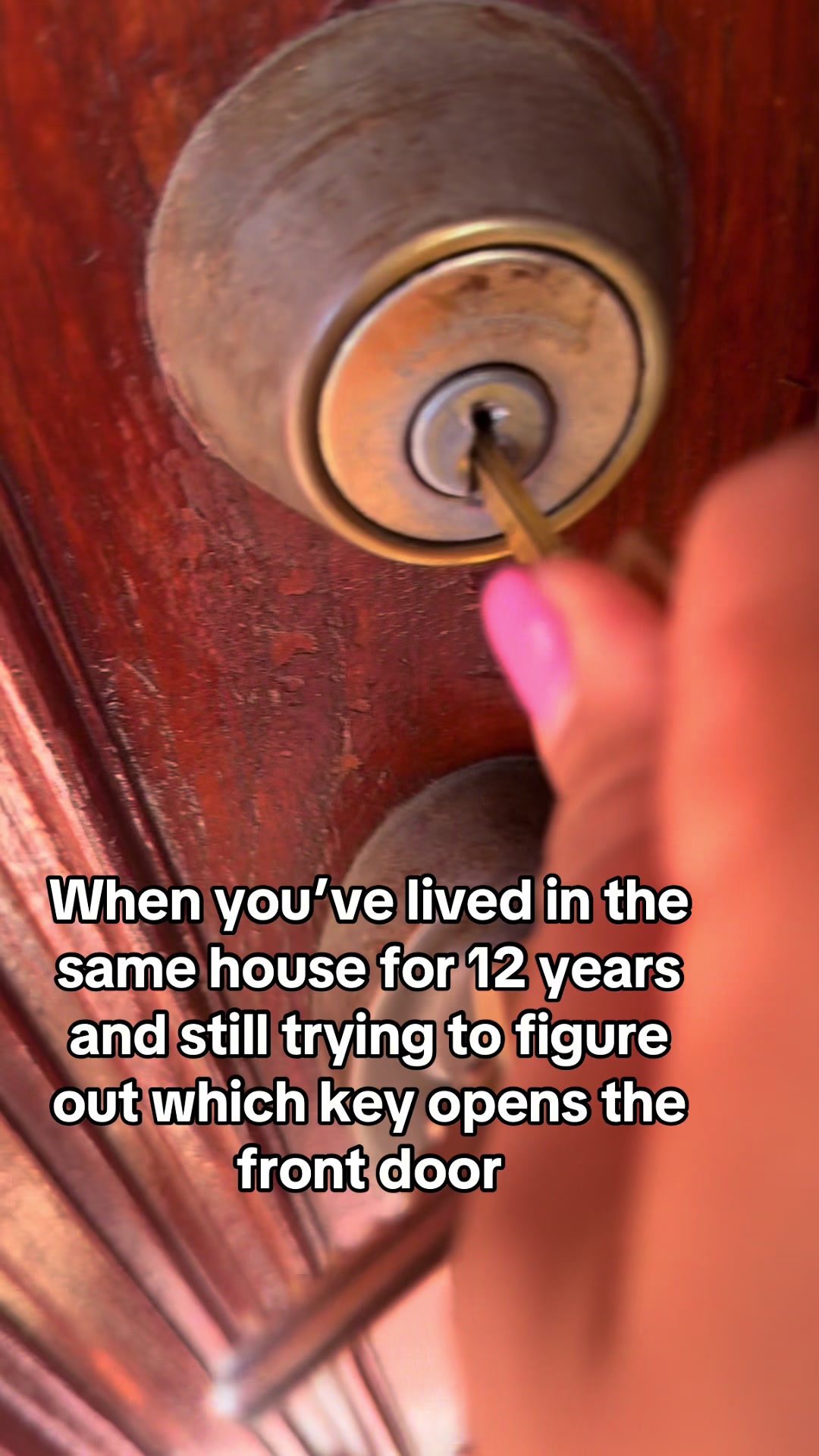 @The Scalici Family