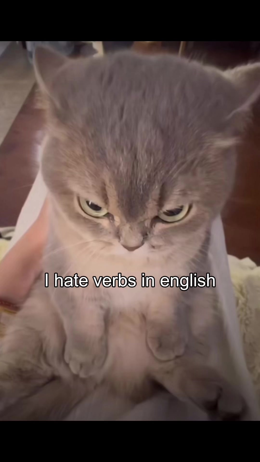 @Battu