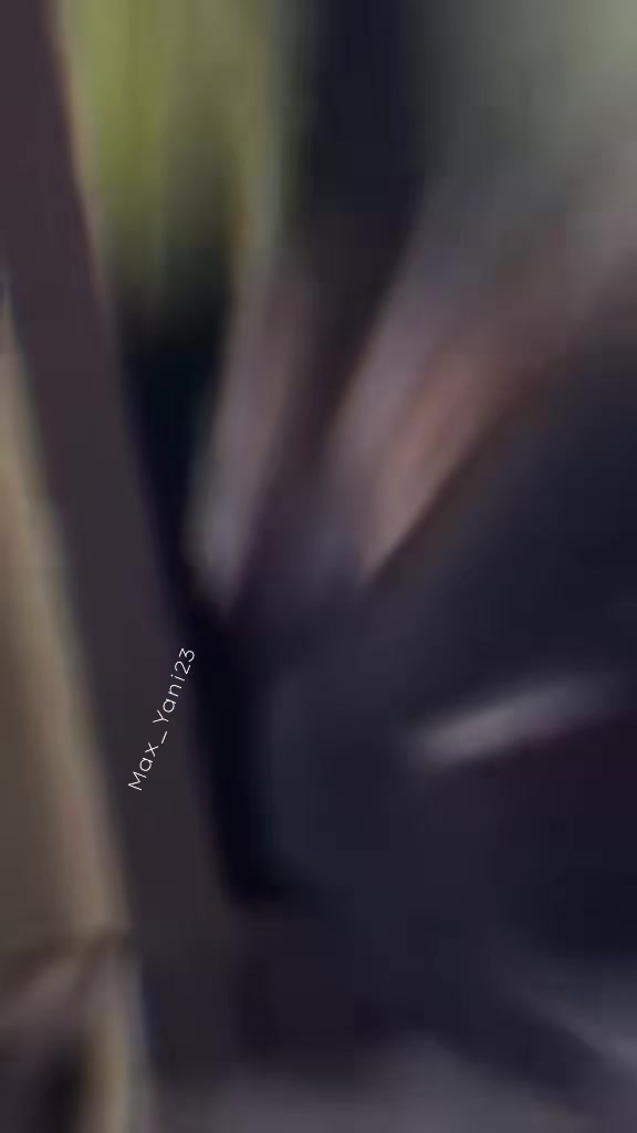 @MAX_YANI23