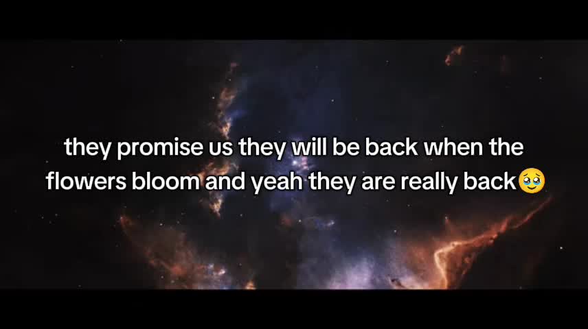 @Nemsi’s COSMOS Era🌼