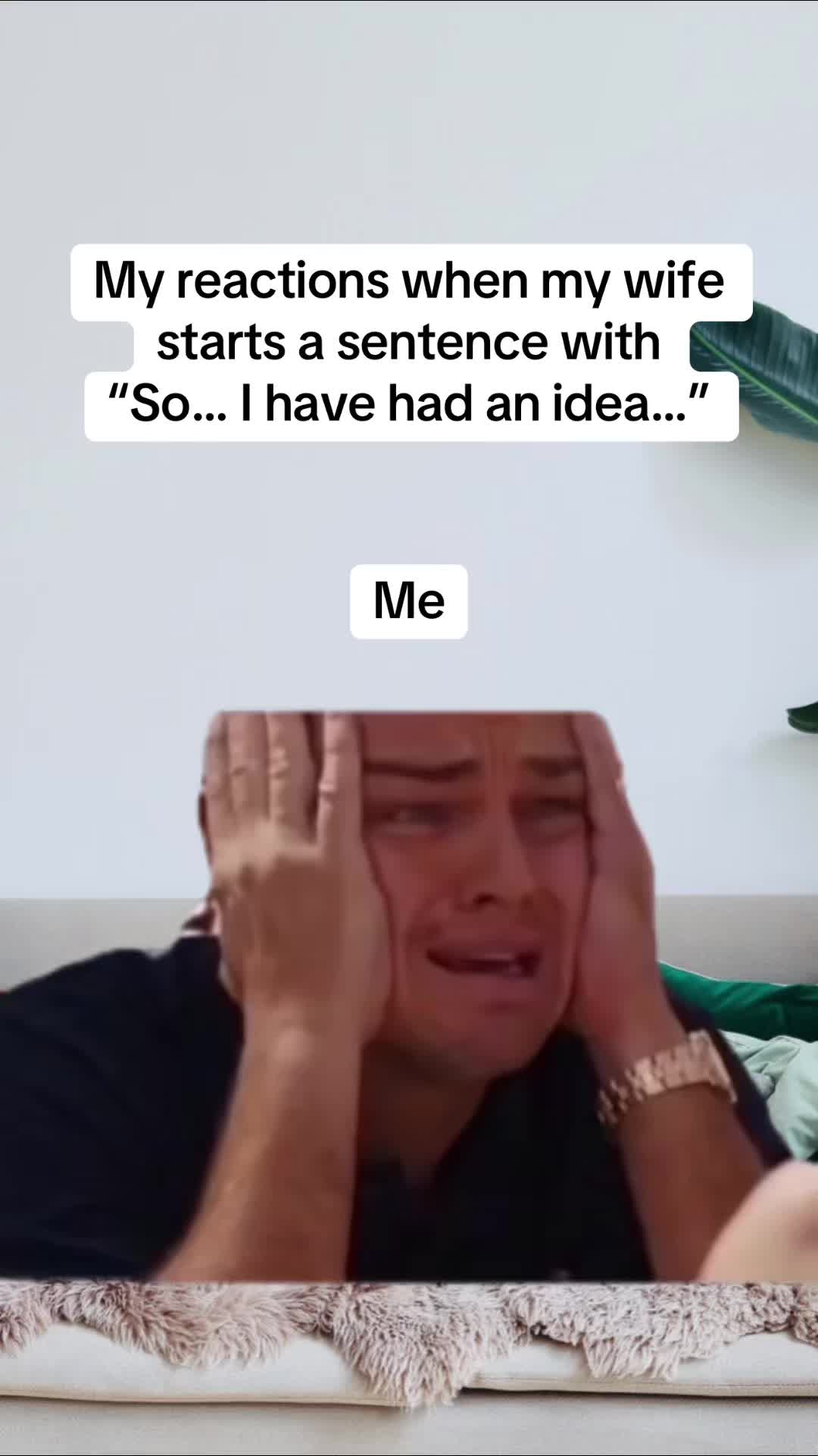 @Green Screen Memes