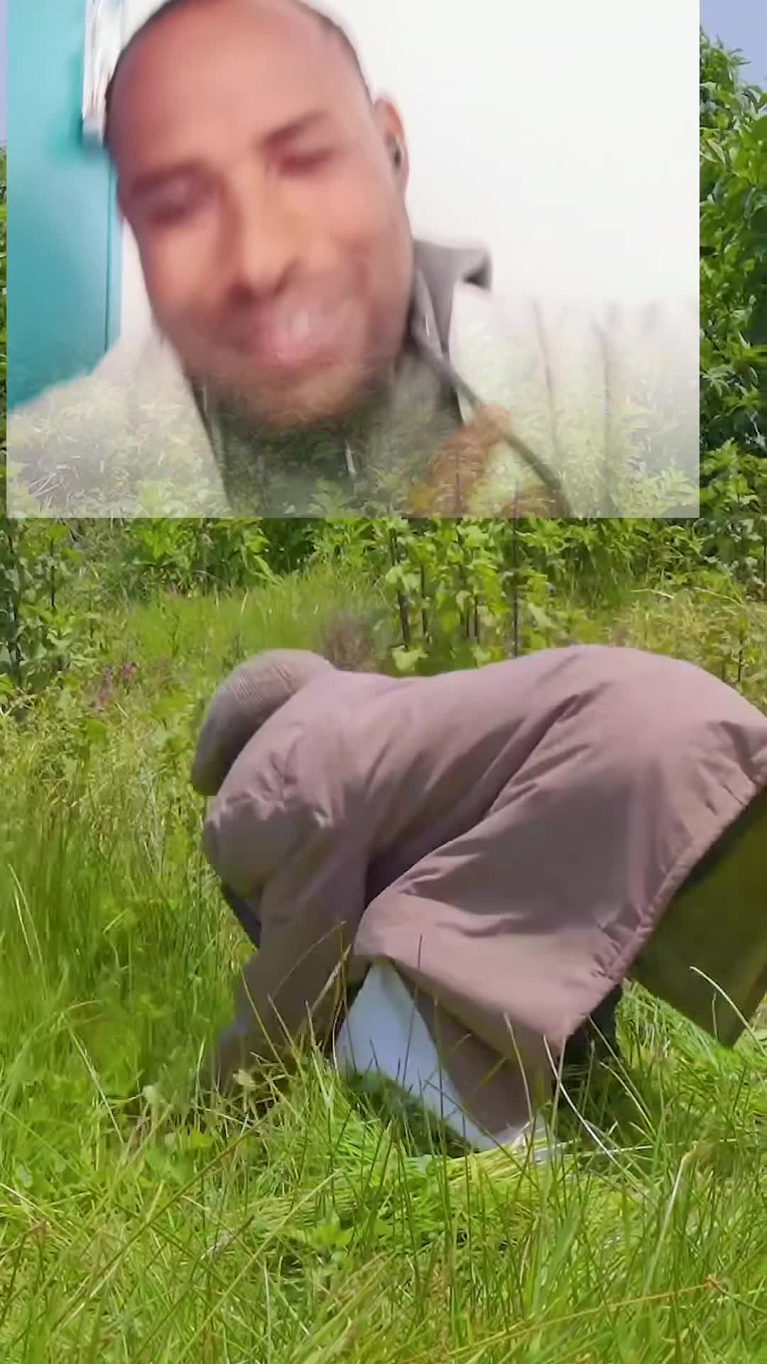 @Jaredo
