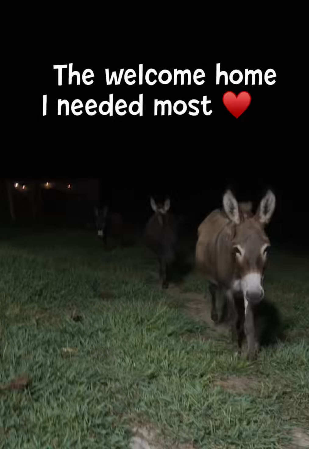 @Our Simple Homestead