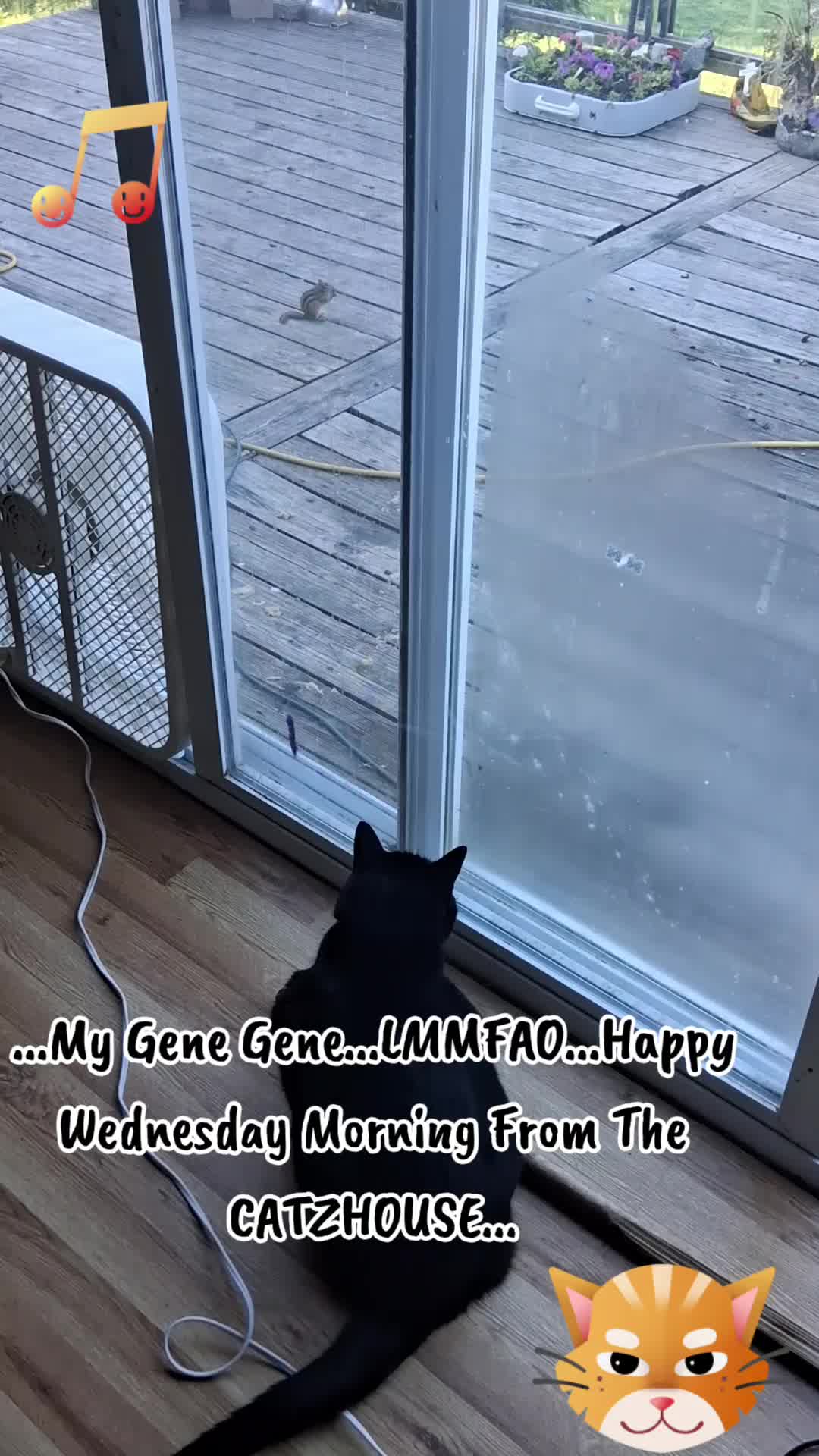 @Booh Hovey crazycatlady3