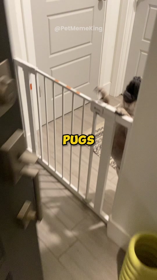 @TOUAAH