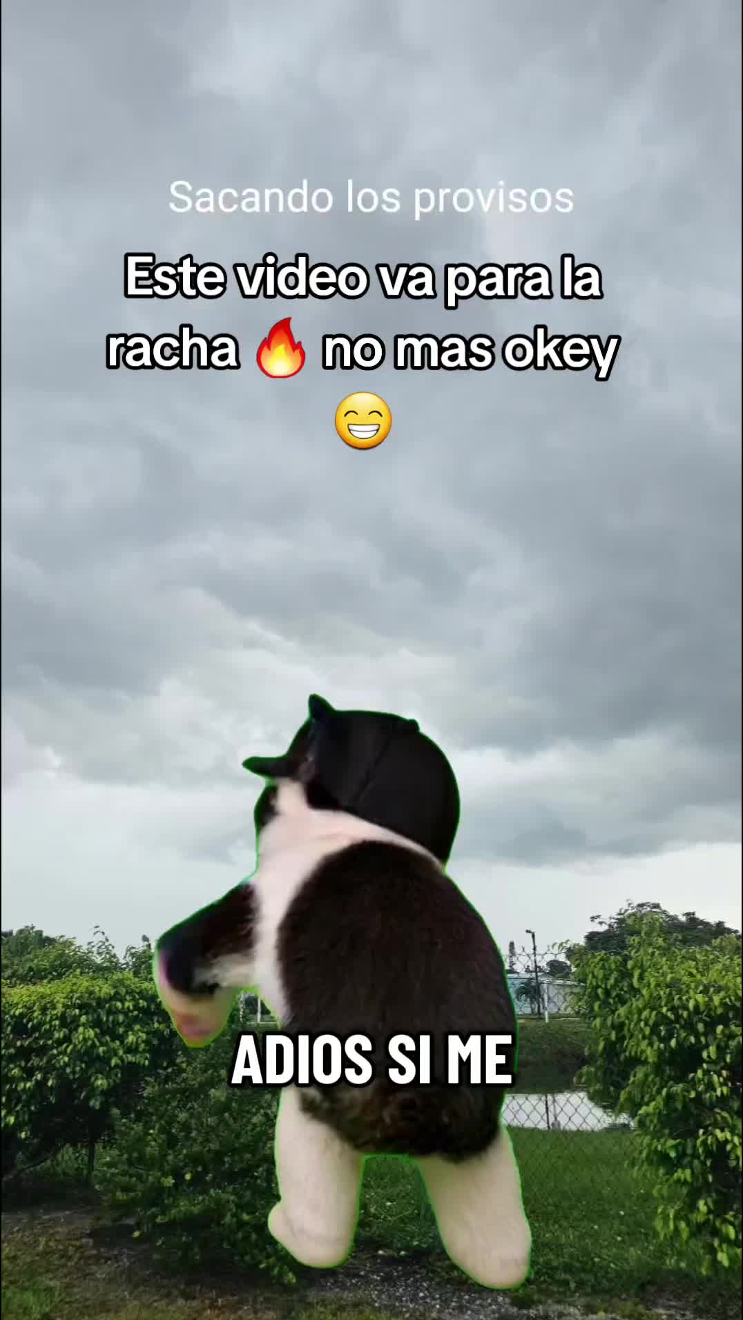 @Gabrielito 502