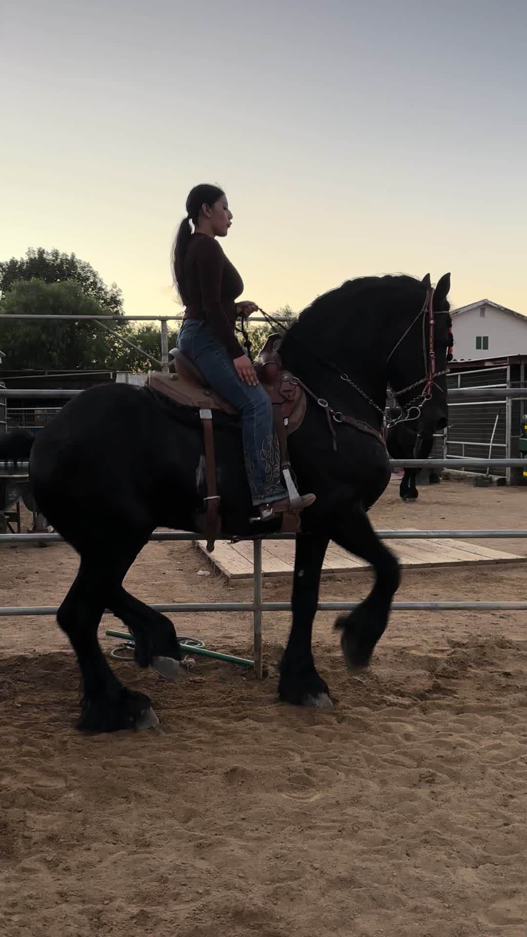 @anissadeacaballo
