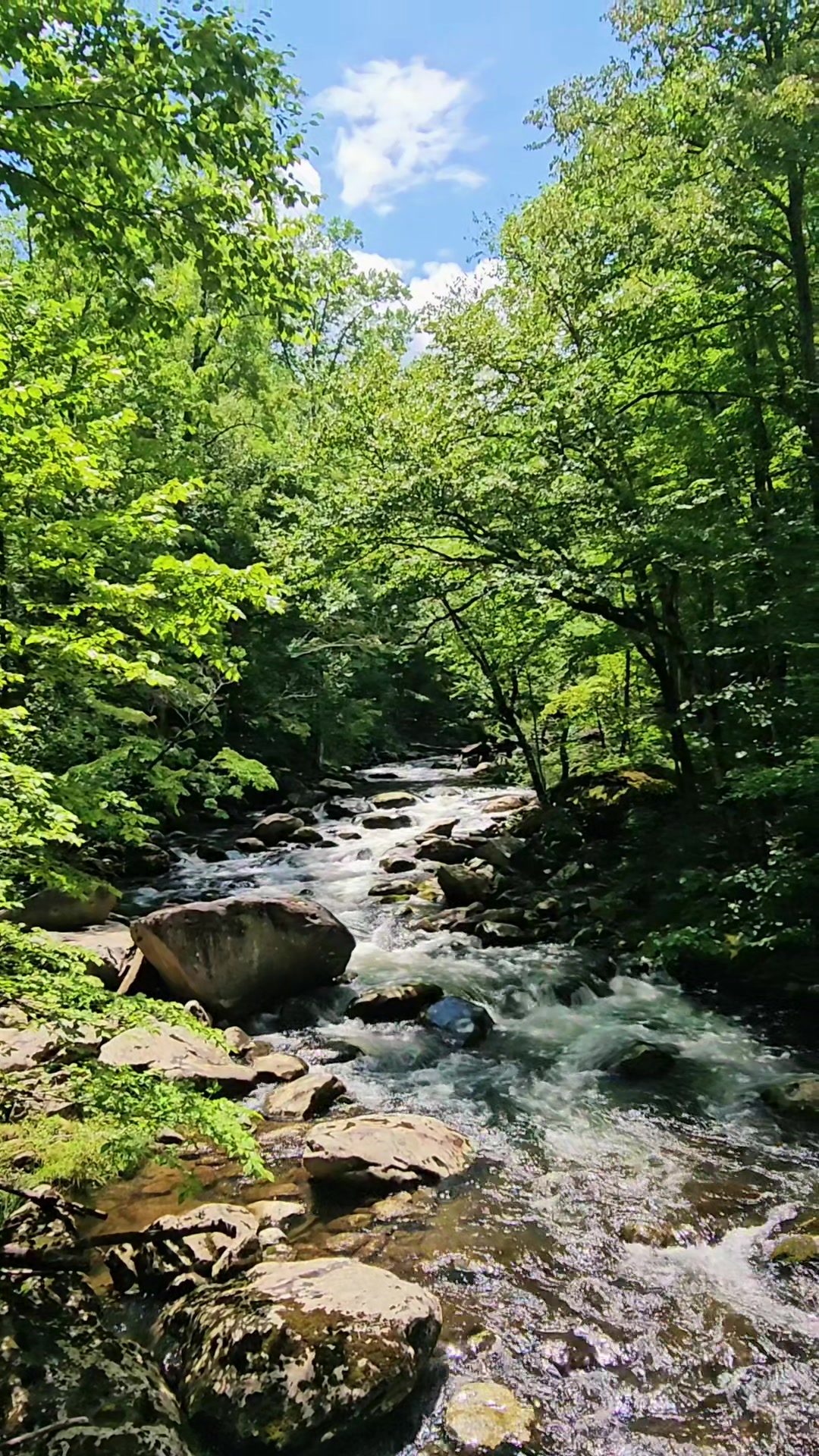 @Kat_💚the💦nature🌿lover💙