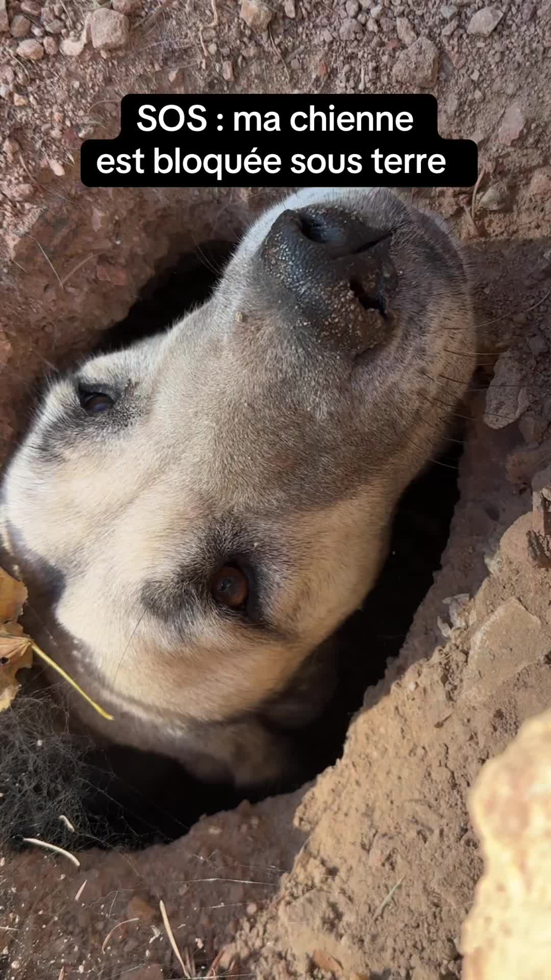 @Purekangal