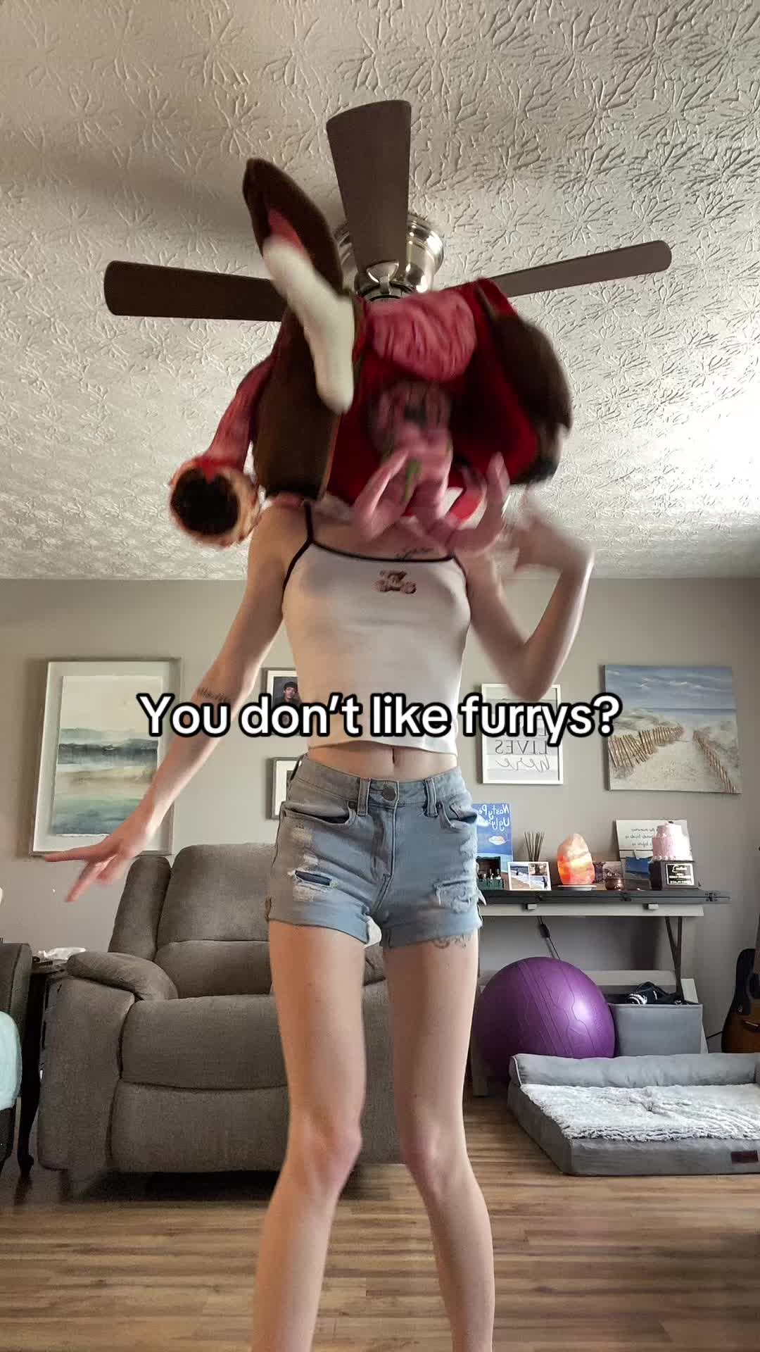 @holfthefurry