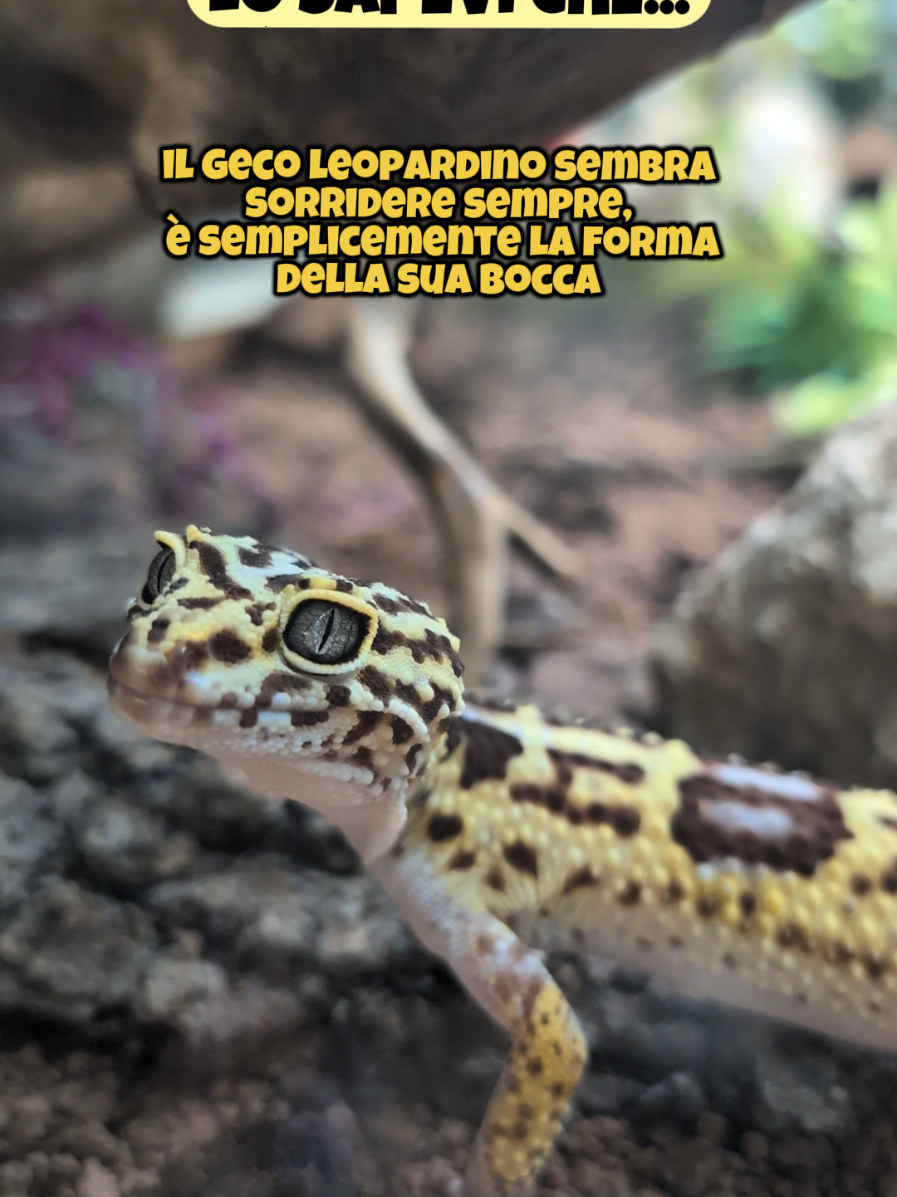 @Parco Zoo delle Star