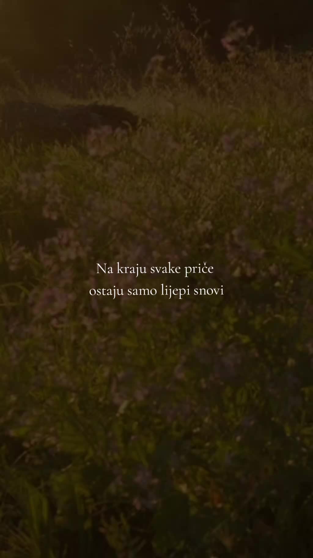 @a.m.✨️