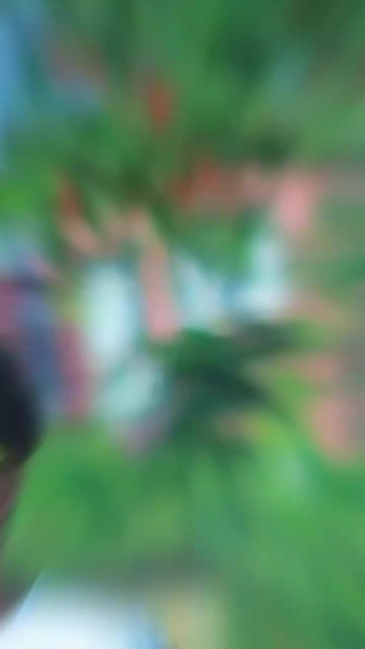 @™®न ★ KKή™