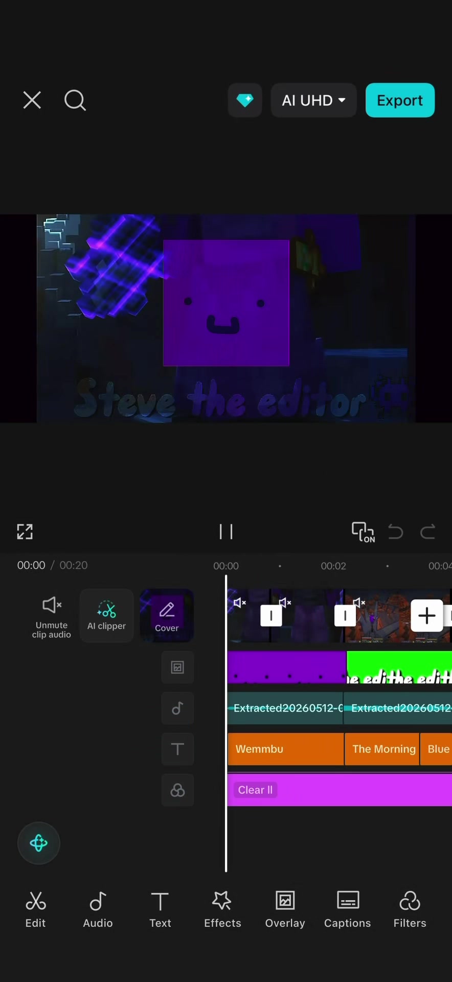 @Steve the editor👾