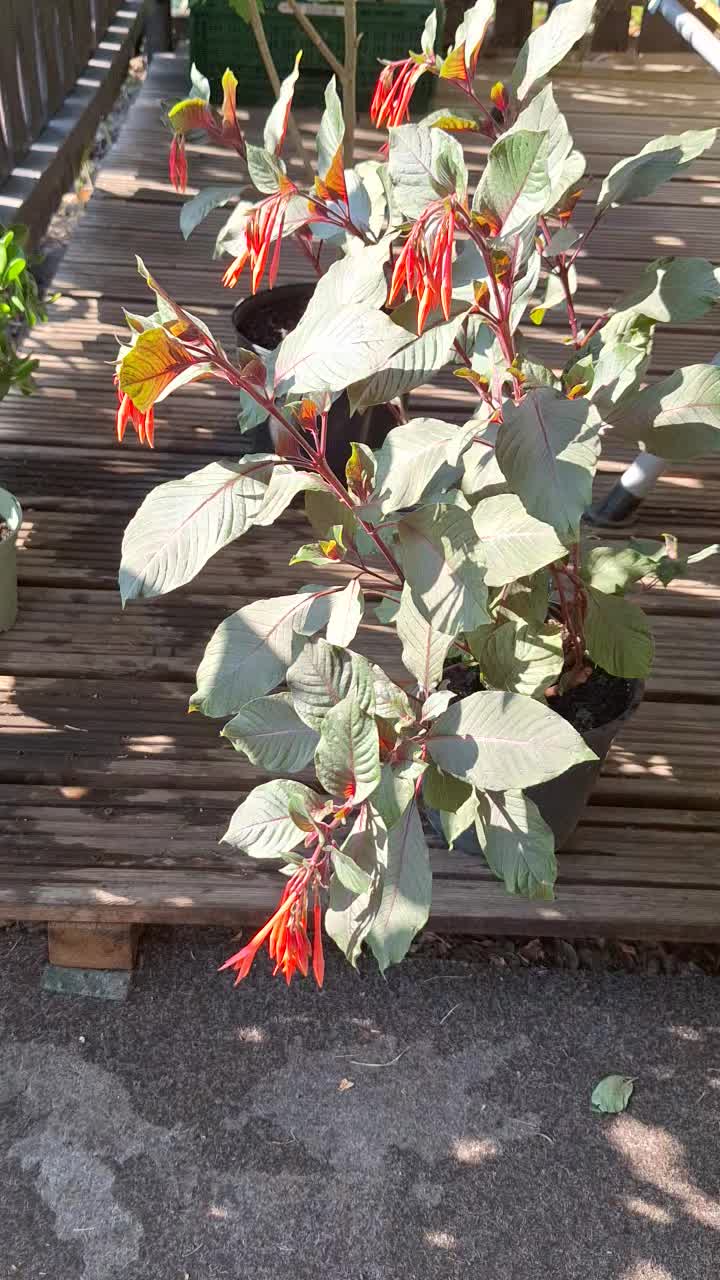 @Natur und Garten
