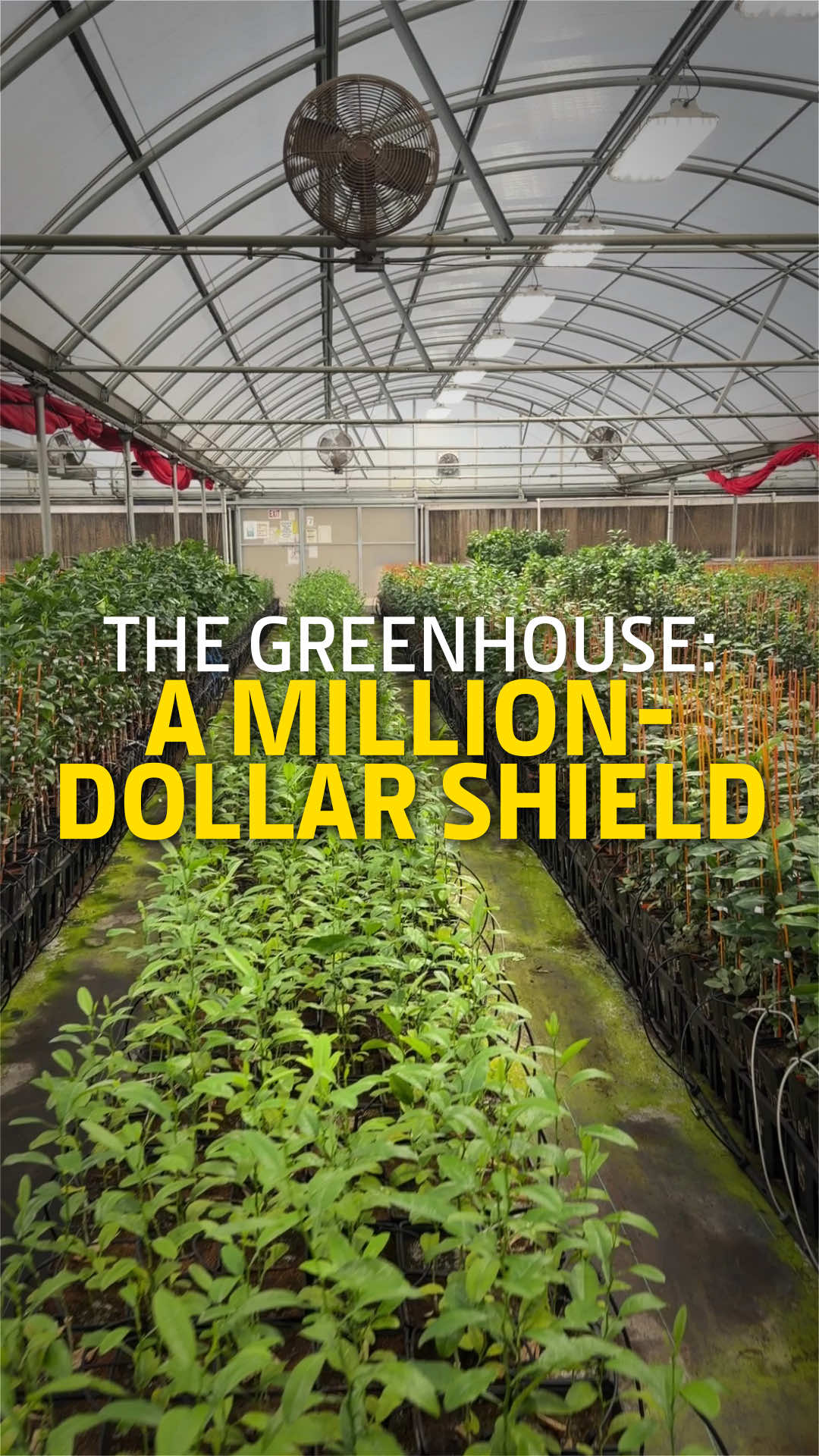 @John Deere
