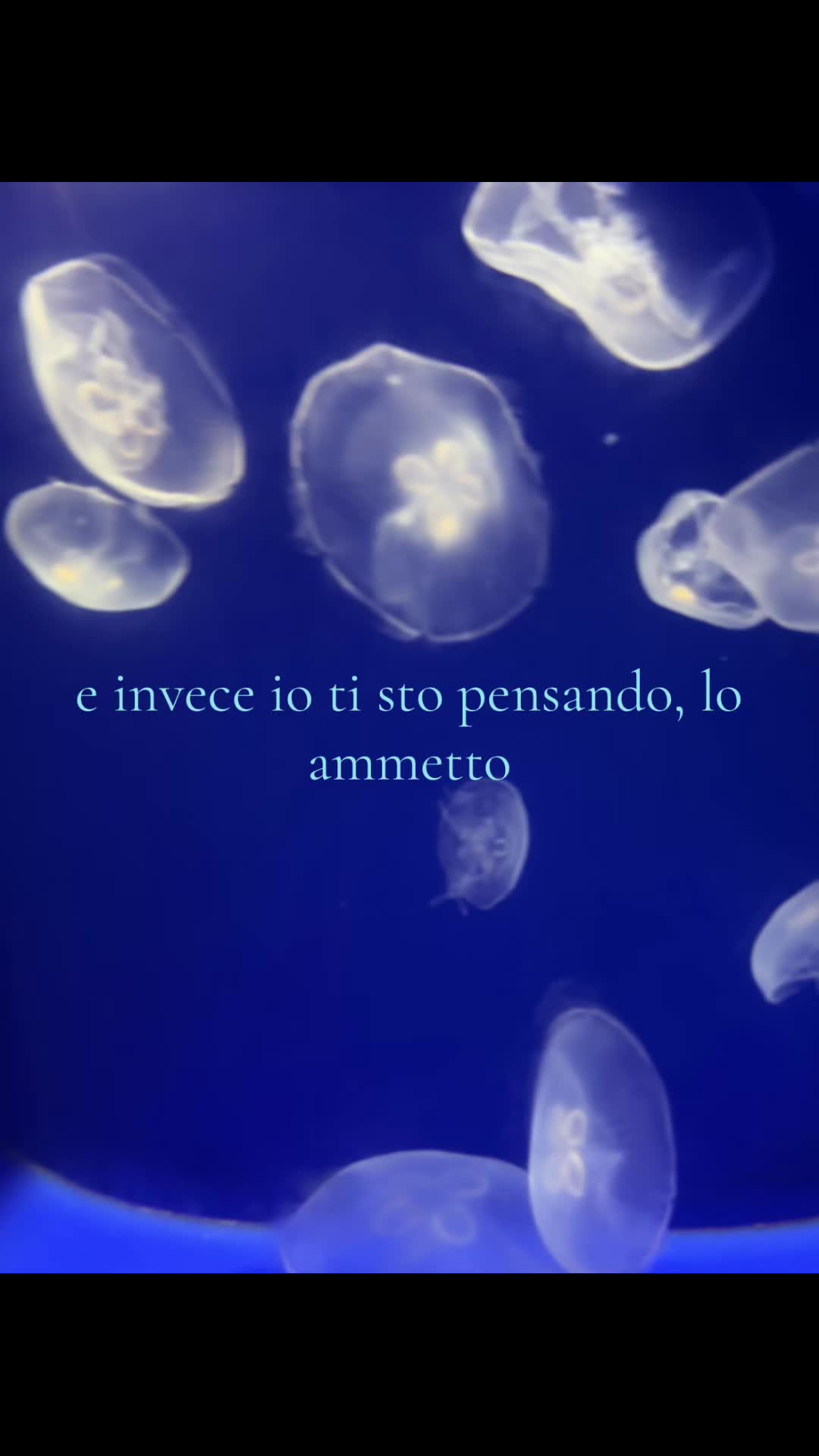 @🩵mathias_chiara🩵