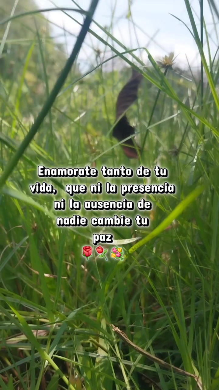 @diana_solana93