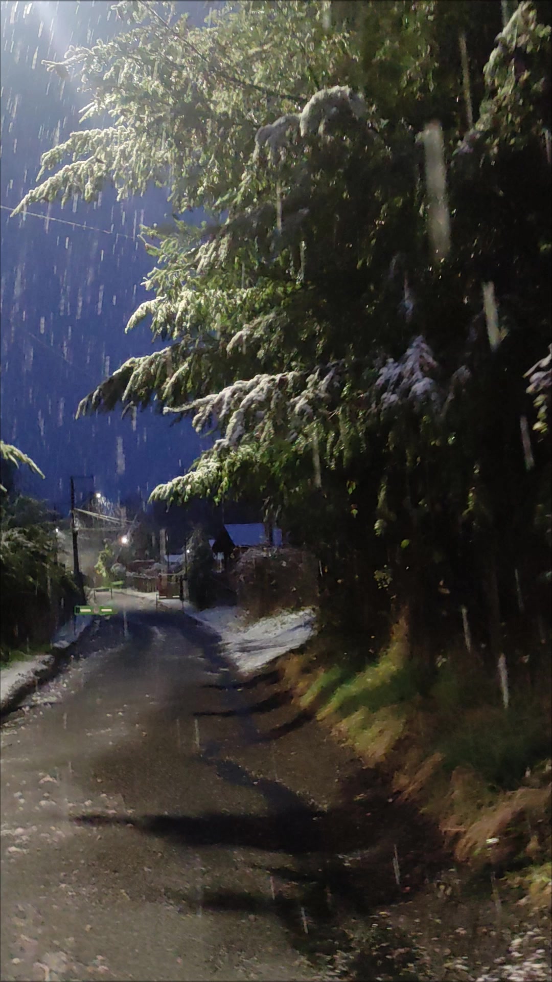 @B&aacute;rbara 🍱