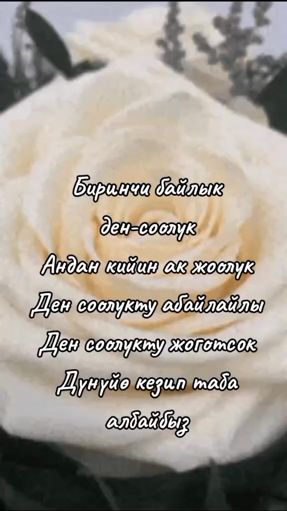 @BERMETIC