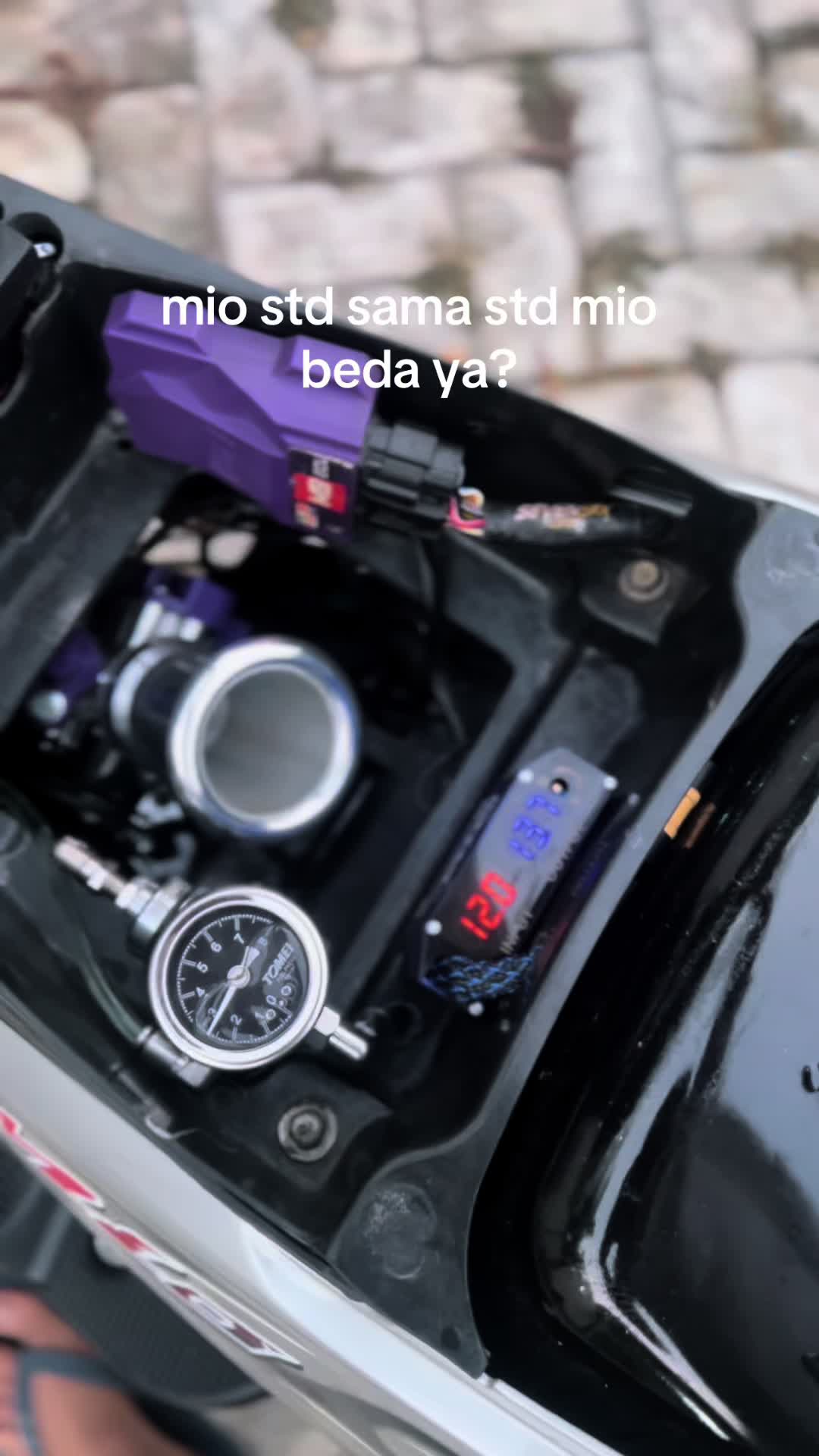 @dodonihbosss