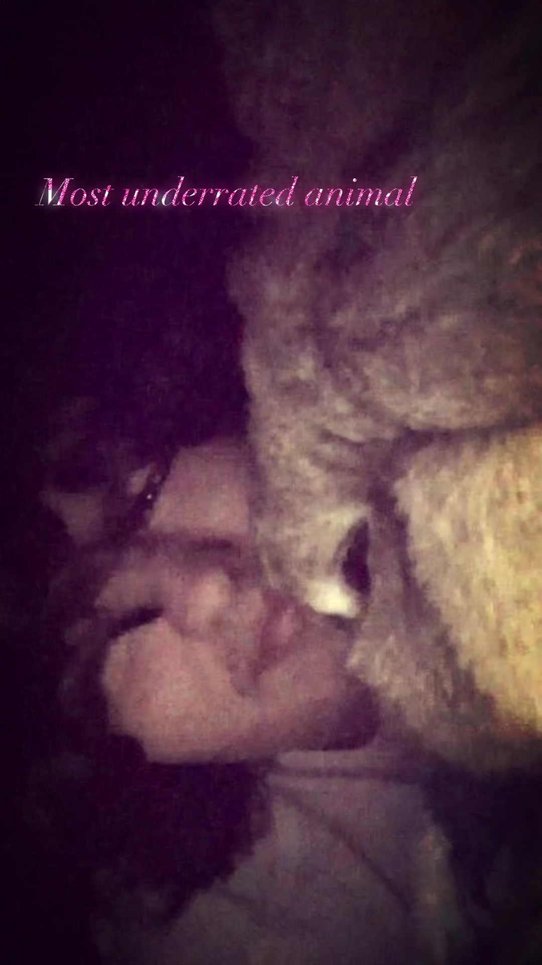 @Fadedbunny69