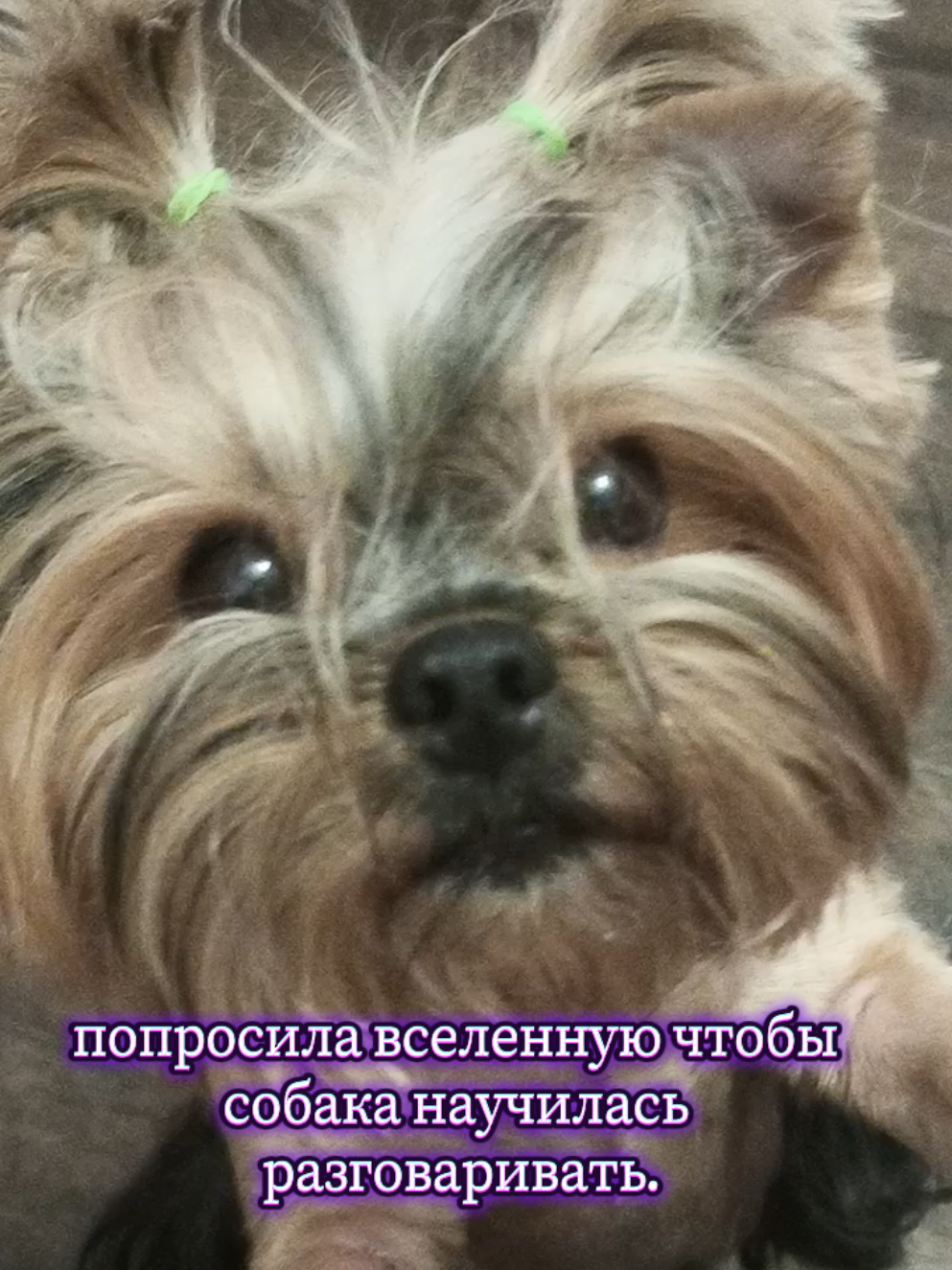 @Соня и Бетти ❤️