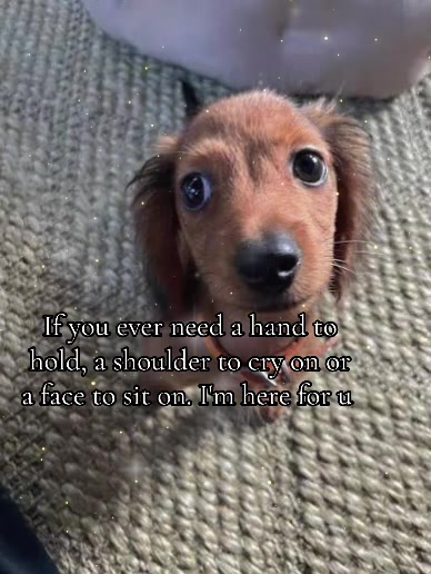 @realestsz0