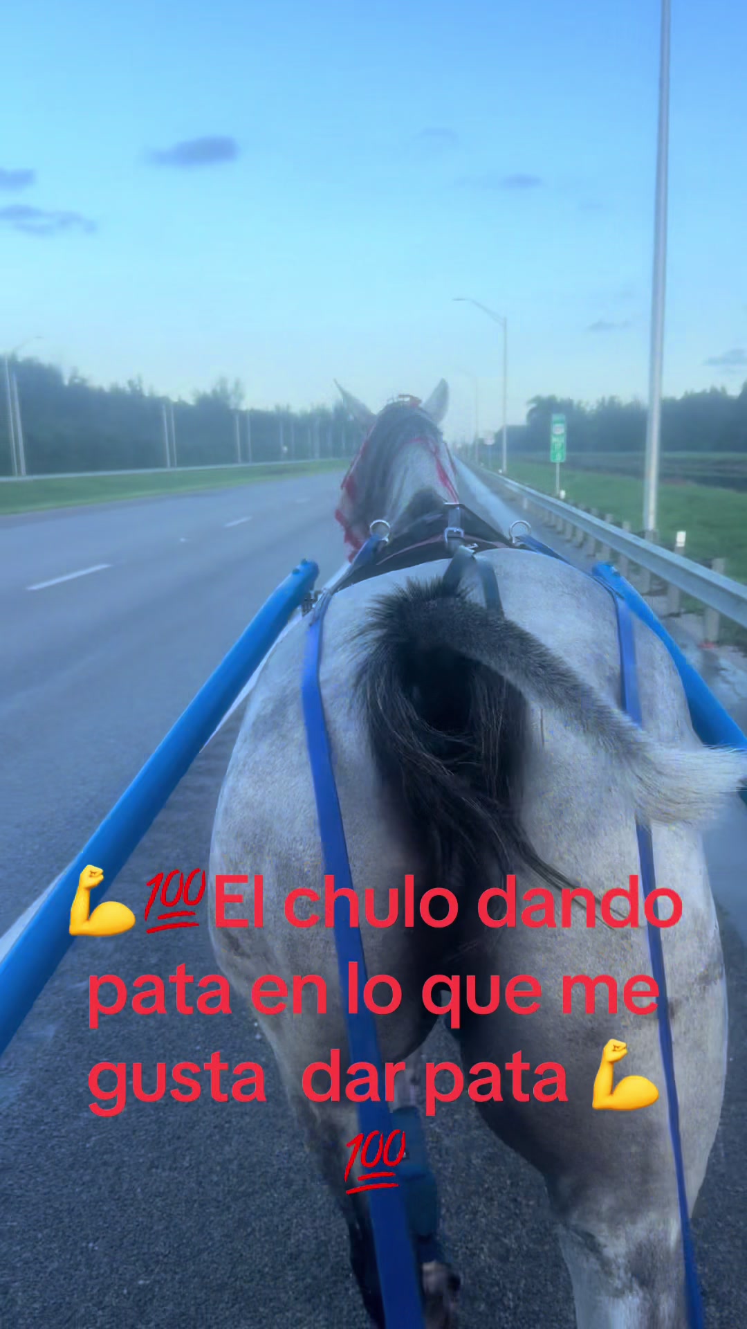 @🔥🔥❤️EL FEO ❤️🔥🔥