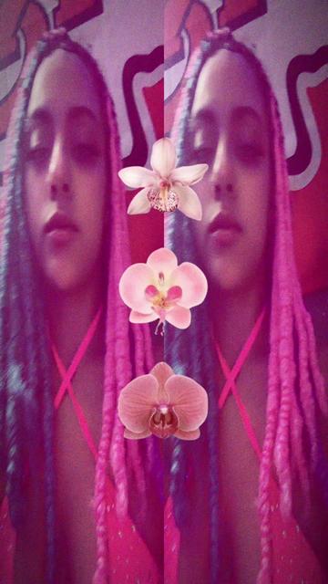 @⋆˚꩜Amikko