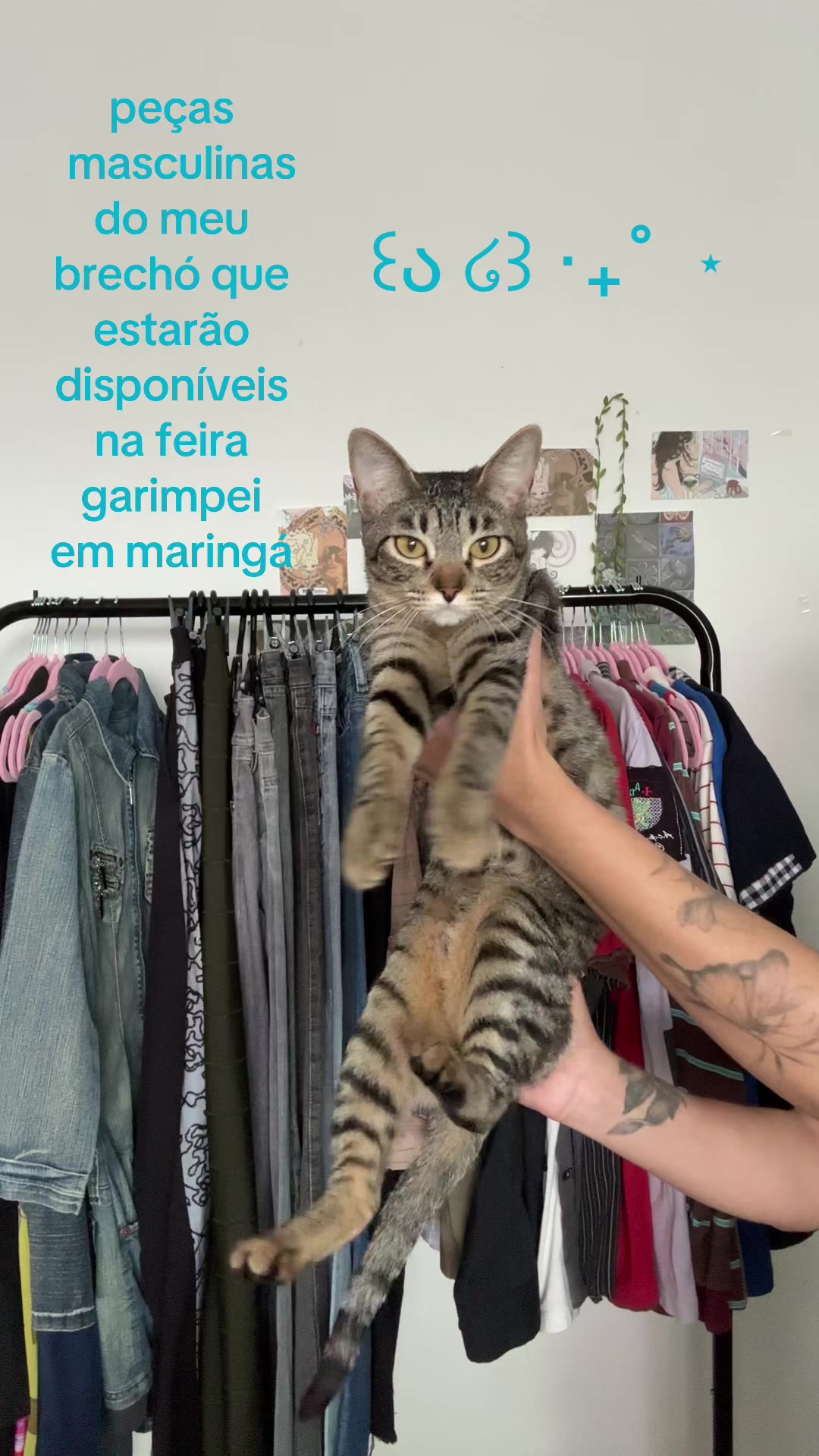 @iara ❀