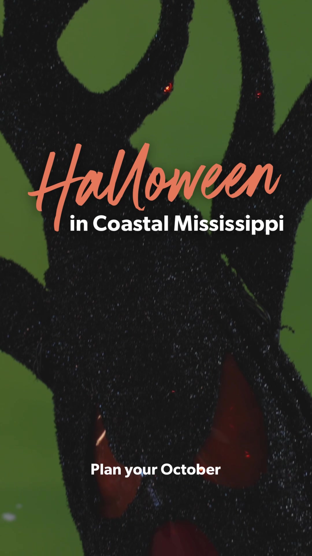 @Coastal Mississippi