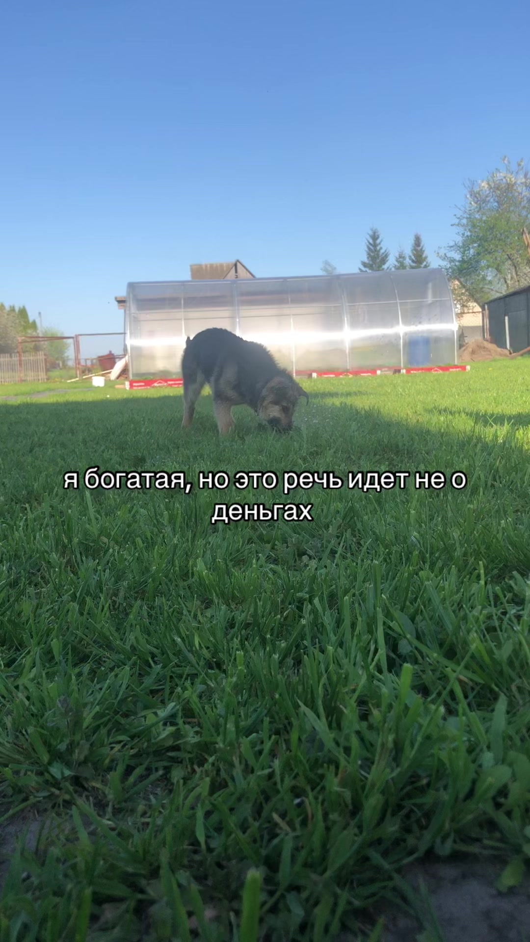 @#вайс