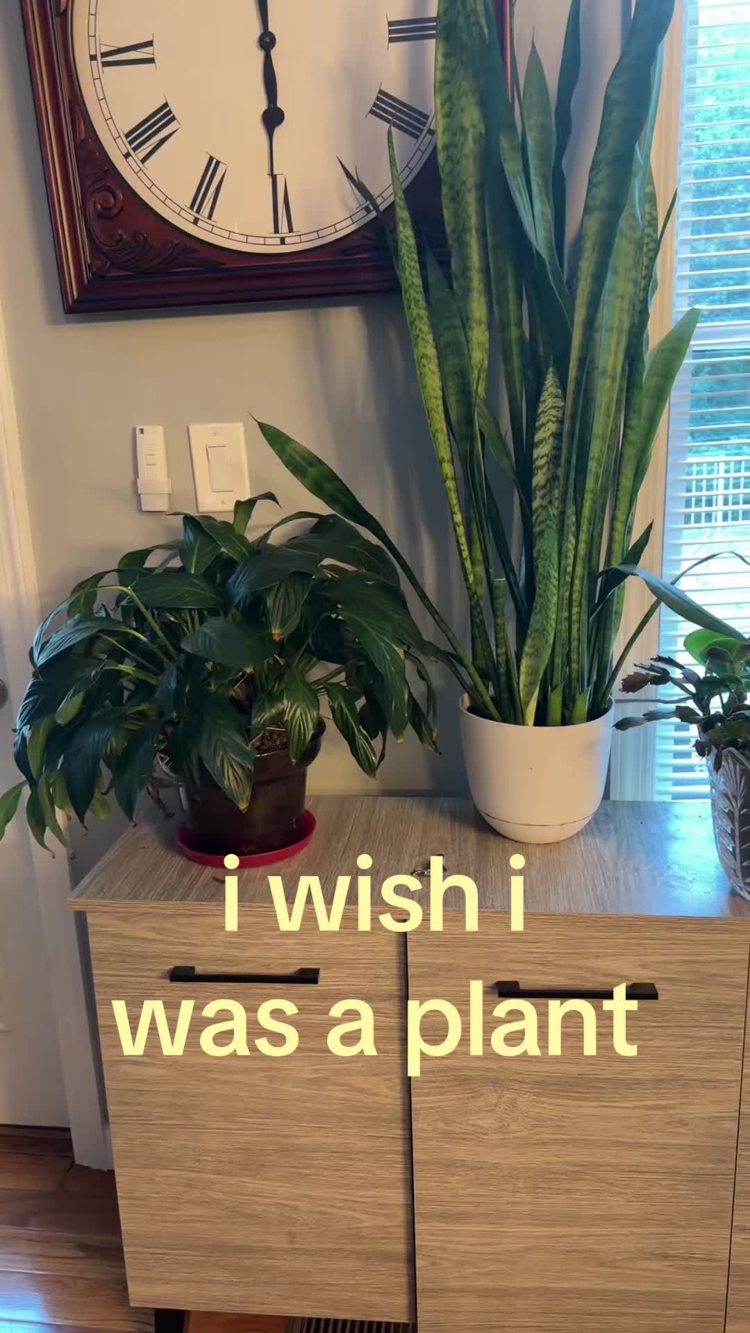 @??