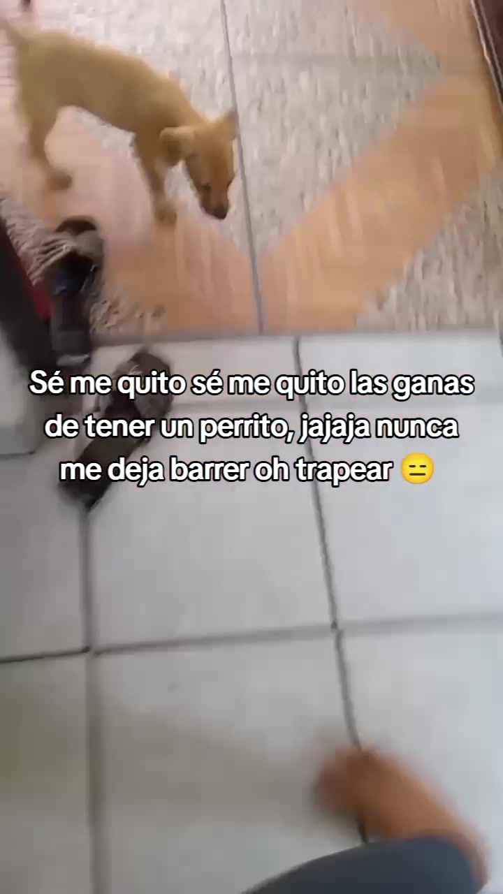 @😍chiken😍