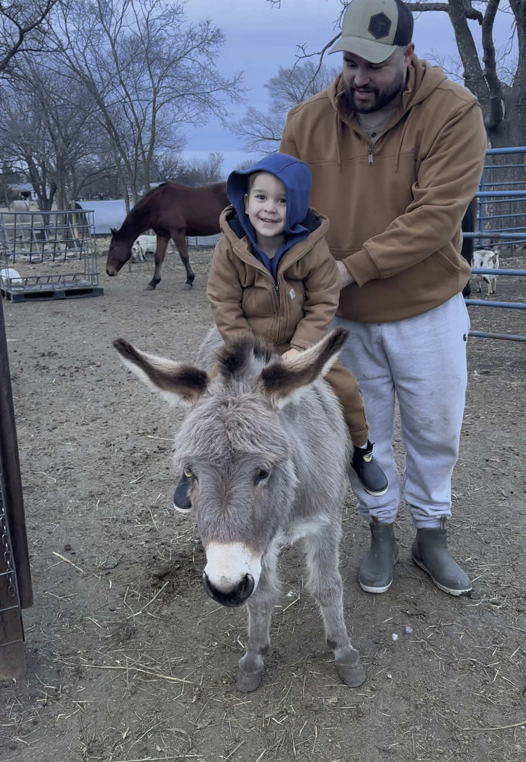 @Tami | FarmD Family Farm