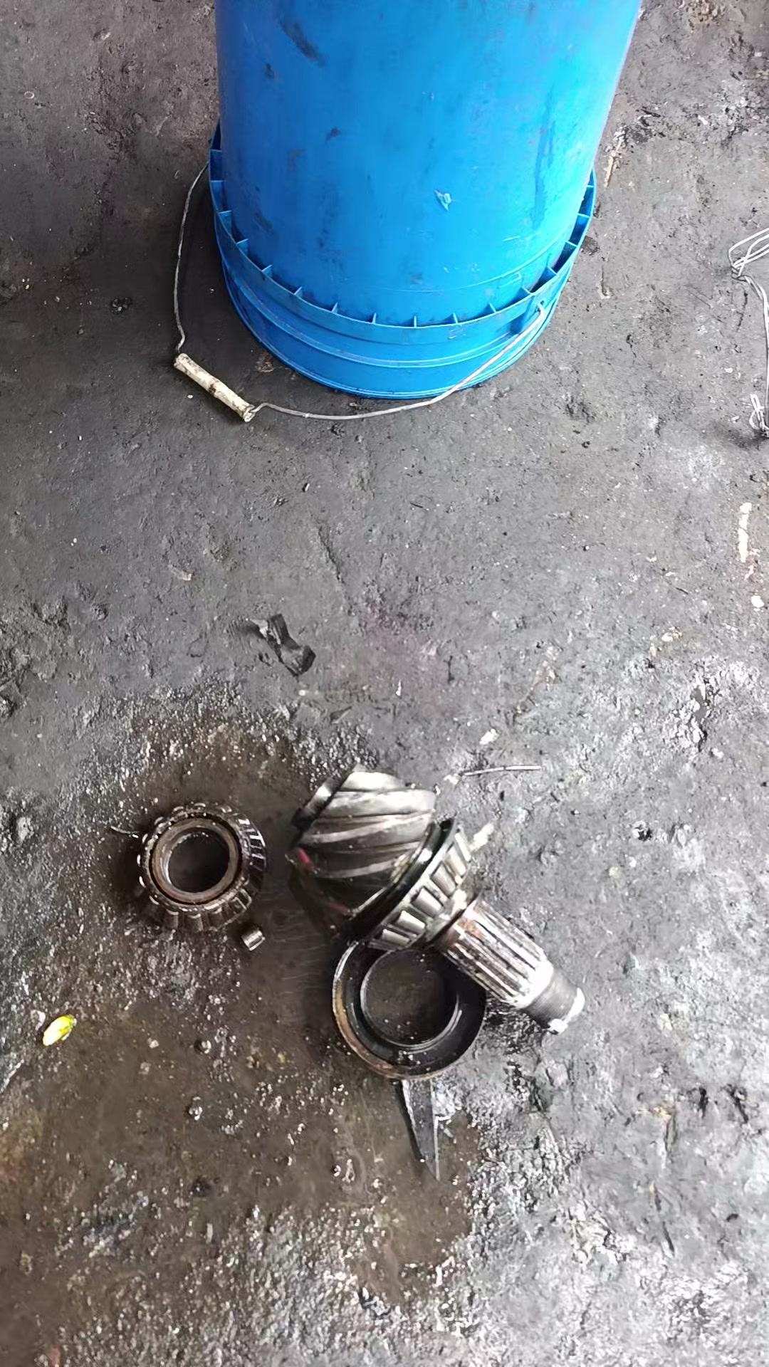 @ruñido