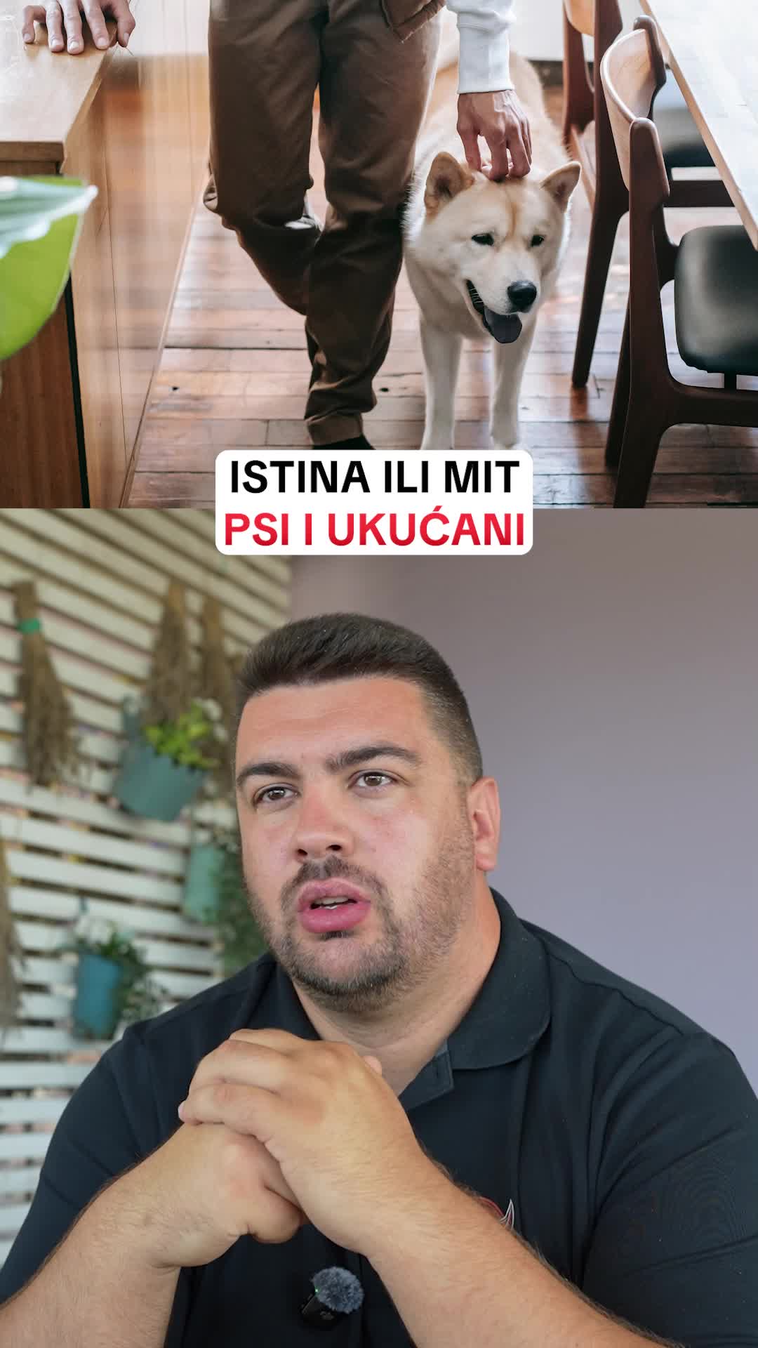 @superdog.akademija